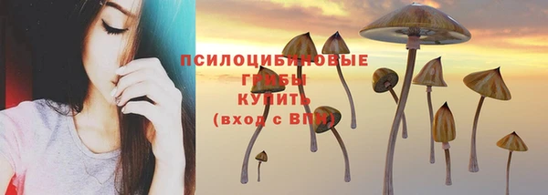 дурь Балахна